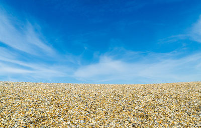 Scenic view of desert against blue sky