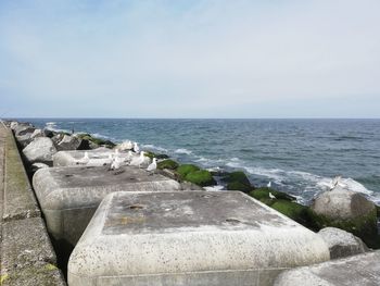 Scenic view of sea against clear sky