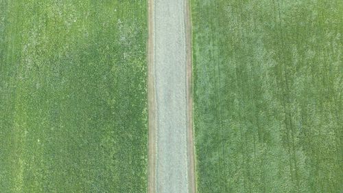 Full frame shot of green field