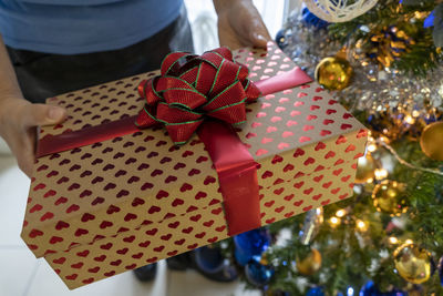 Midsection of woman holding christmas tree