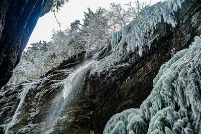 Low angle view of waterfall on rock against trees