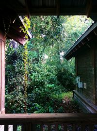 View of plants and trees