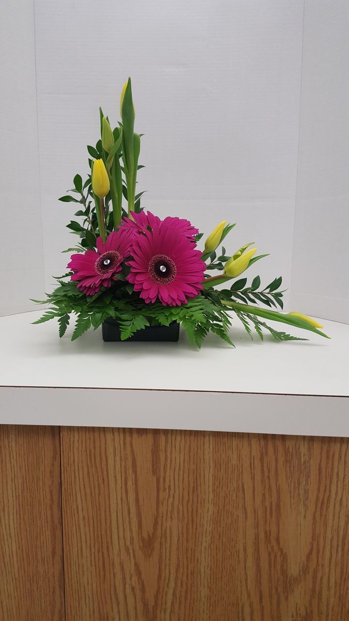 CLOSE-UP OF FLOWERS IN POT