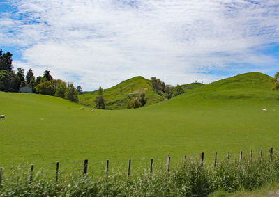 Scenic view of landscape against sky