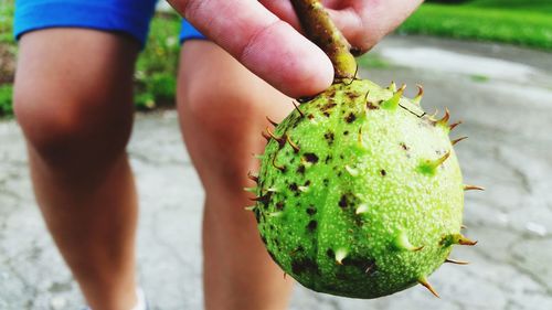 Midsection of person holding fruit