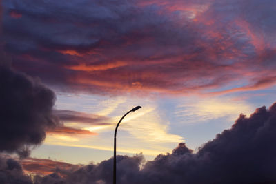 Trees against sky during sunset