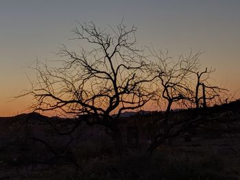 Silhouette bare tree against sky during sunset