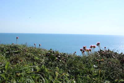 Scenic view of sea against clear sky