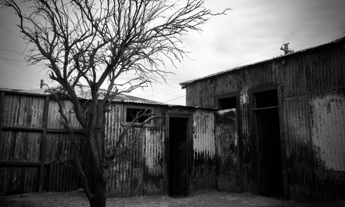 Bare tree by built structure against sky