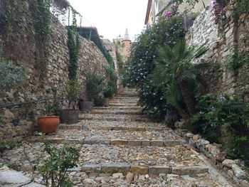 Narrow walkway along trees