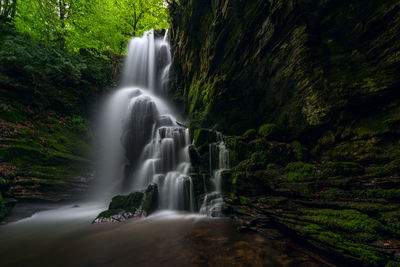 Scenic view of waterfall in forest