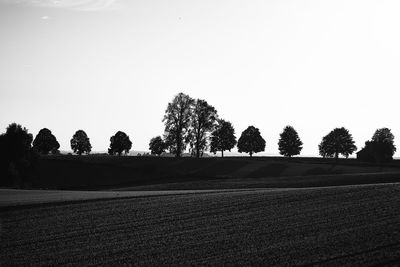 Trees on field against sky