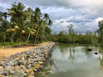 Scenic view of lake by trees against sky