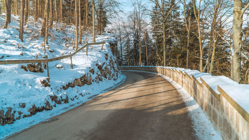 Snow covered road amidst trees in forest