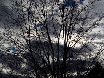 Low angle view of bare trees against sky