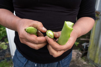 Midsection of man holding fruit