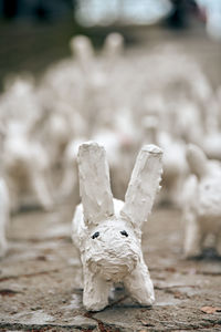 Close-up of stuffed toy