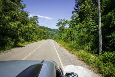 Road by trees seen through car windshield