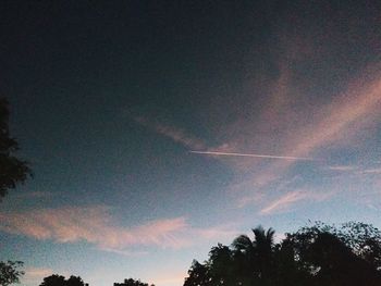 Low angle view of silhouette trees against sky