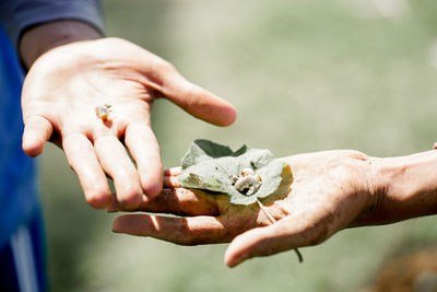 People holding animals in sunny day