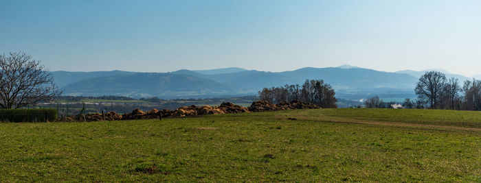 Scenic view of field against sky