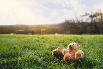 Close-up of stuffed toy on field against sky