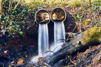 Close-up of water flowing on land in forest