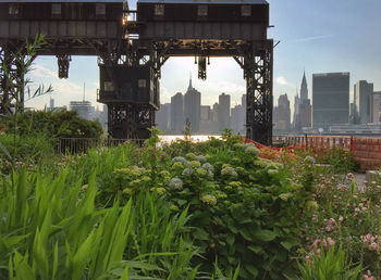 Scenic view of plants in city