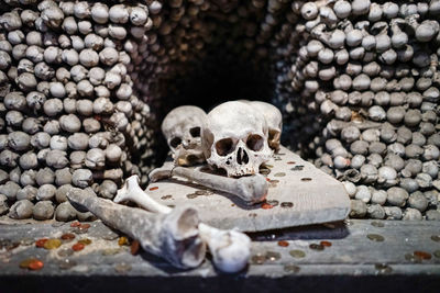 Close-up of human skull on stone