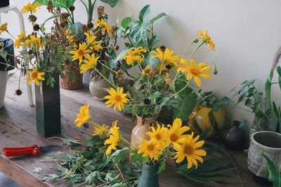 Potted plant on table at home