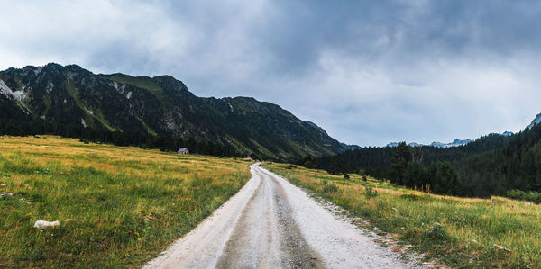 Road amidst green landscape against sky