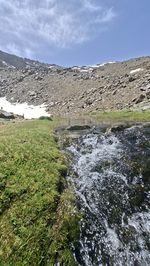 nature