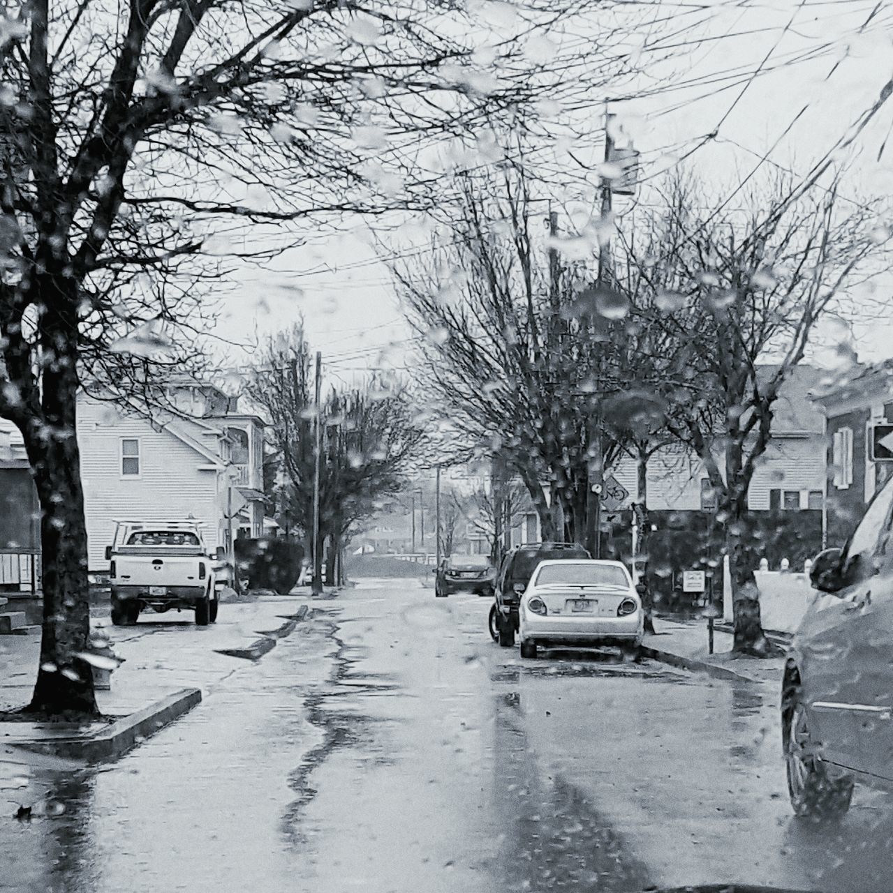 transportation, bare tree, tree, car, mode of transport, land vehicle, street, building exterior, the way forward, built structure, road, branch, architecture, season, parking, day, weather, city, outdoors, winter