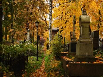 View of cemetery against trees during autumn