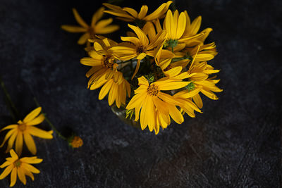 Close-up of yellow flower