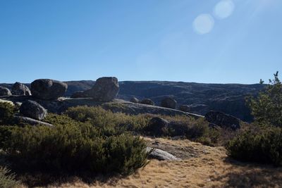 Scenic view of landscape against clear blue sky