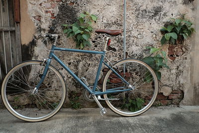 Bicycle against plants