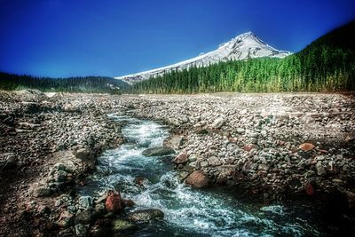 nature