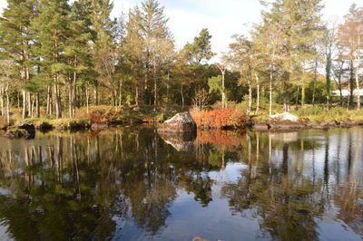 Scenic view of lake in forest against sky