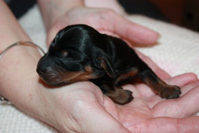 Close-up of person with dog