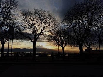 Silhouette of trees at sunset