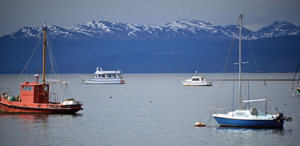 Boats moored in sea against sky