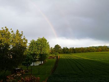 Scenic view of rainbow over field against sky