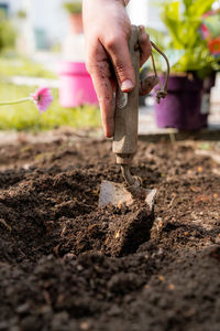 Cropped hand of man holding plant