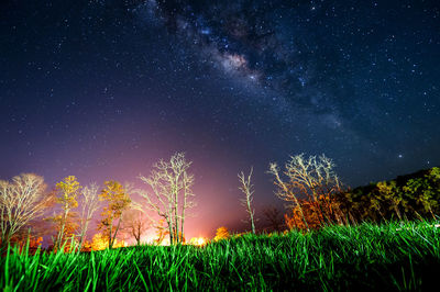 Surface level of grassy field against milky way at night