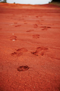 Close-up of sand at beach