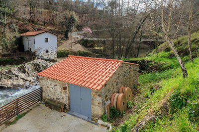 Houses in forest