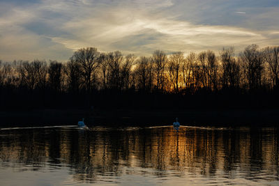 Scenic view of lake against trees during sunset