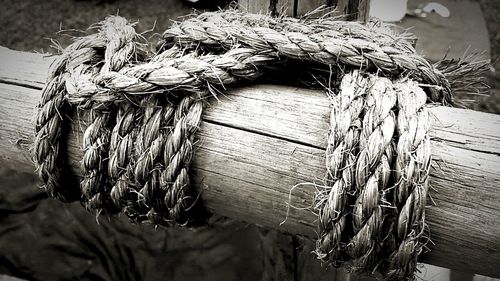 Close-up of wooden plank