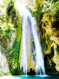 Scenic view of waterfall in forest